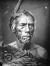 Maori Representation