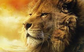 Download hd wallpapers tagged with lion from page 2 of hdwallpapers.in in hd, 4k resolutions. Ewallpaper Hub Best Place For You To Download Lion Wallpaper For Your Desktop Ba Best Wallpaper 4k