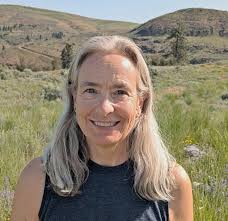 What detrimental results have occurred to the public lands due to  government agency efficiency changes?