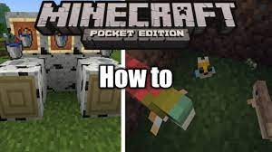 May 24, 2019 · how to put fish in a water bucket mcpe minecraft pe 1. How To Put Fish In A Water Bucket Mcpe Minecraft Pe How To 1 Youtube
