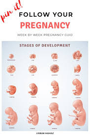 Sometimes, breast tenderness may also be a sign of the beginning of a menstrual. Pregnancy