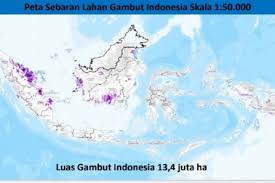 Tanah gambut menyimpan air ini solusi agar kita bisa bertani pesan di atas disampaikan salah satu tokoh di desa. Balitbangtan Lakukan Pemutakhiran Peta Lahan Gambut Antara News