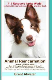 Check spelling or type a new query. Animal Reincarnation Everything You Always Wanted To Know About Pet Reincarnation Plus How To Techniques To See Feel Communicate With Your Deceased Pet By Brent Atwater