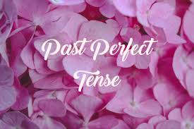 Seperti yang sudah kita bahasa sebelumnya di pengertian, rumus, dan contoh dari past future perfect tense, tense ini digunakan untuk beberapa fungsi utama diataranya yaitu untuk membuat sebuah kalimat pengandaian type 3. Materi Rumus Dan Contoh Kalimat Past Perfect Tense Jagoan Bahasa Inggris