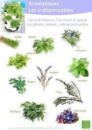 Pin On Food Plating Techniques