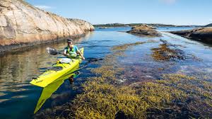 Fishing villages & sea kayaking around the bohuslän archipelago. Lobster Fishing And Kayaking At Kosterhavet National Park In Bohuslan West Sweden Youtube