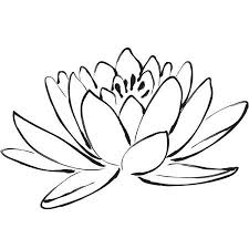 Black And White Lotus Flower Wall Art Wallpops Lotus Flower Wall Art Kit Size 24 Inch X 17 5 Inch Flower Wall Decals Flower Wall Art Sketches
