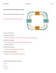 Circular Flow Model Practice Questions Worksheet Doc