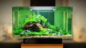 I want to make a large island for my turtles and i want to be able to make it. Best Led Fish Tank Lights Grow Plants Faster Zenaquaria