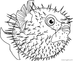 They're great for all ages. Realistic Pufferfish Coloring Page Coloringall