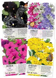Check spelling or type a new query. Pots Container Flower Seed Collection Seed Needs Seed Needs Llc
