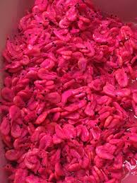 Pin By Andy Parker On Fishing Bait By Rob S Baits Salmon Fishing Salmon Roe Chum Salmon