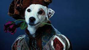 Send private wishbone cards and messages to your friends. Watching Wishbone Without Reading Literature