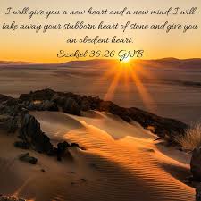 God S Work On Behalf Of His Children Bible Apps Amplified Bible Faith