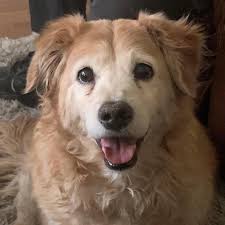 I.D. PLEASE. Orlando, FL. 09-23-25