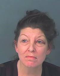 HCSO Arrests Public Records Results