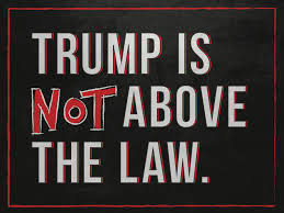 Above the law, new york, ny. Nobody Is Above The Law Materials Moveon Org
