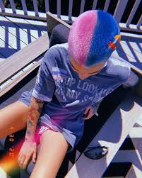 Rose came to attention as a presenter on mtv australia, foll. Ruby Rose Debuts Pink And Blue Shaved Haircut People Com