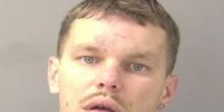 Deputies investigate car break-in