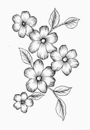 How to draw perfect flowers step by step. Drawing Flowers Easy Pencil Eyesketch Drawingeyes Drawingofeyes Pencil Drawings Of Flowers Easy Flower Drawings Flower Drawing