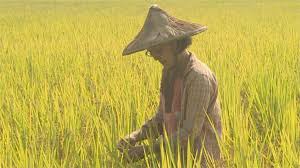 56756 12 3 4 5 6 7 8 9 10. å´'æ¿±ä¼¯çå'è¥åºå¥³å'åéæ¥æ£' ç¡ç±³æ¨ æ°'è¦æ°èç¶²