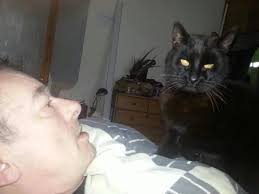 Photo posted by David Broida (@broidadavid42)