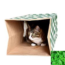 Pet Oyuncaklar Kedi Malzemeleri Kedi Nane Oyuncak Kedi Kanal Tunel Kedi Evi Tunel Katlanir Oyunu Delikler Oynayan Kraft Kagit Kategoride Kedi Oyuncaklar Www1 Columbiaconnections Org