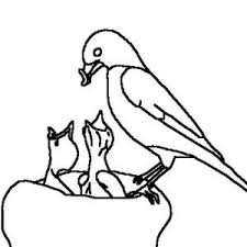 The babies get a variety of insects and fruits in nature, robins begin feeding at first light, and fly to roosts (with no more feedings for the rest of. Robin Robin Feeding Her Babies Coloring Page Robin Feeding Her Babies Coloring Page Baby Coloring Pages Online Coloring Pages Coloring Pages