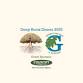 Deep Roots Dinner 2025 event image