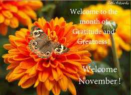 Pin By 123greetings Ecards On November Flowers November Flower Gratitude Cards Welcome November