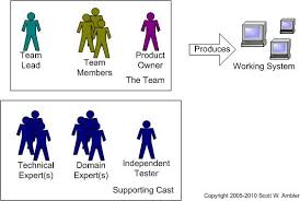 Roles On Agile Teams From Small To Large Teams Agile Agile Scrum Software Development