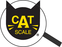 قِيَاس • (qiyās) m (dual قِيَاسَانِ‎ (qiyāsāni), plural أَقْيِسَة‎ (ʾaqyisa)). Cat Scale Locator Cat Scale