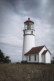 We did not find results for: Cape Blanco Lighthouse Photograph By Gerri Bigler