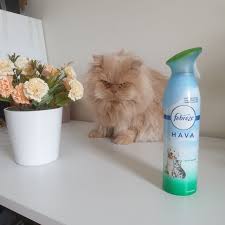 Kozmetik Yorumlarim Ilke Cevik Kozmetik Yasam Makyaj Guzellik Blogu Febreze Hava Evcil Hayvan Kokusu