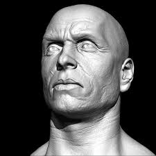 Realistic Male Head 3d Model 3d Model Realistic Model