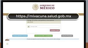 Aa aa interruptor de navegación. Mexico Ya Tiene Un Sitio Web Para Que Adultos Mayores Se Registren Para Obtener La Vacuna Contra Covid Asi Funciona