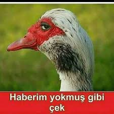 Asena Erisik Adli Kullanicinin Komik Panosundaki Pin Mizah Komik Komik Seyler