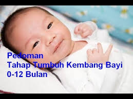 Di bawah ini adalah jadual panduan untuk anda mengetahui tahap pencapaian. Pedoman Tahap Tumbuh Kembang Bayi 0 12 Bulan Youtube