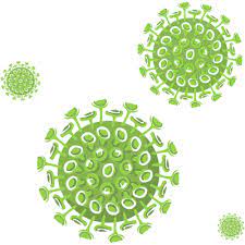Choose from 14000+ covid 19 graphic resources and download in the form of png, eps, ai or psd. Covid 19 Antibody Testing For Poc Labs United States Procisedx