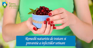 In caz de raceala, se poate vorbi de o stare subfebrila, de o. Remedii Naturiste Infectii Urinare Blog Putereaplantelor Ro
