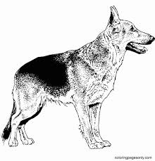 German shepherd dog coloring pages. Realistic German Shepherd Coloring Pages German Shepherd Coloring Pages Coloring Pages For Kids And Adults