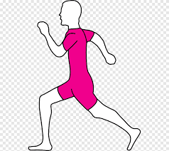 Papan terbuat dari kayu, dan biasanya diberi 10 hingga 18 lubang di atasnya, dengan dua lubang, satu di setiap ujungnya. Running Drawing Animation Outline Of A Duck Running Cartoon Png Pngegg