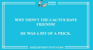 We did not find results for: Best Cactus Jokes To Read Collection Of Funny Cactus Puns