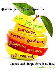 Galatians 5 22 23 Kjv Bearing Fruits Worthy Of Repentance Implies A Process Just As A Tree Does Not Produce Fruit Overnig Fruit Of The Spirit Fruit Spirit