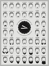 Beard And Mustache Print Beard Chart Beard Chart Art Print