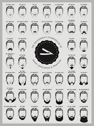 beard and mustache print beard chart beard chart art print