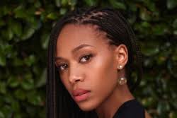 TV stars boost record theme park traffic