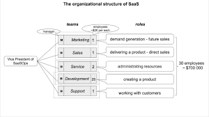 The Organizational Structure Of Saas Youtube