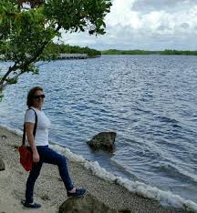 We go out there to eat breakfast, enjoy the weather, and watch the guys with the big trucks put their boats in the water. Nice Setting Picture Of Homestead Bayfront Park Tripadvisor