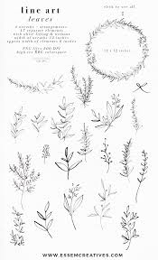 Black And White Line Art Plant Clipart Line Art Leaves Clipart Botanical Print Illustration Greenery Eucalyptus Rosemary Herbs Graphics Leaf Clipart Line Art Leaves Illustration